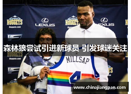 森林狼尝试引进新球员 引发球迷关注